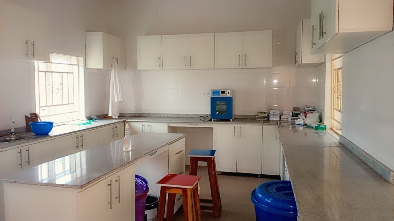 St Johns Hospital Laboratory Workbench