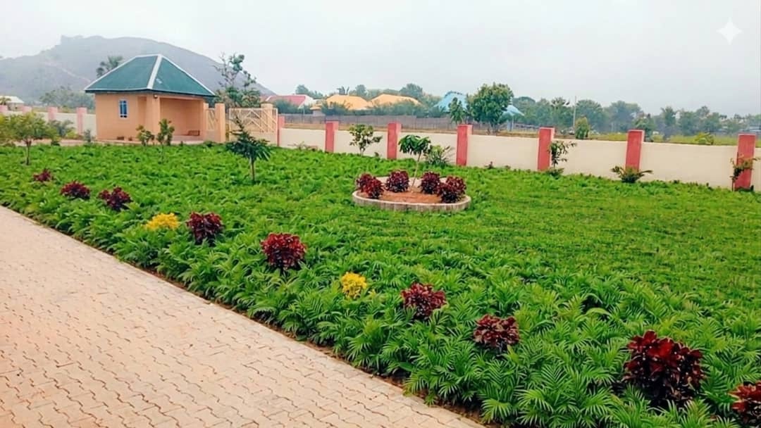 St John's Medical Centre compound garden landscaping mountains